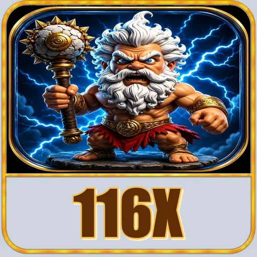 Performa 116x